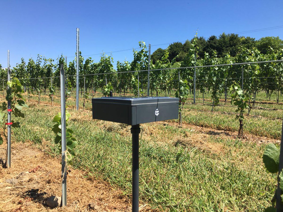 🍇🇨🇭 Revotree in Switzerland 🍇🇨🇭
We've installed our Revosense into the vineyard of the Republic of the Geneve Canton! The Department of Agriculture will use our data to study the deseases of the grapes in 5 different fields!
revotree.it/en 
#agtech #revotree