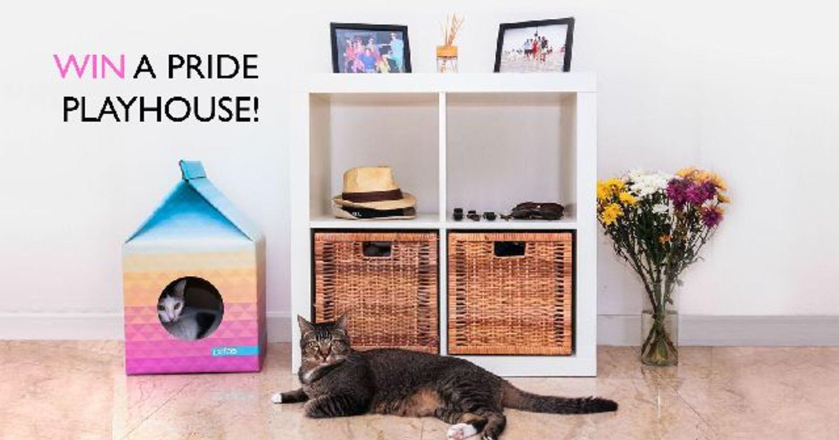 JollyBeas's tweet photo. ✨✨#Competition Time!✨✨

✨✨We are giving one lucky #cat the chance to #win a fabulous Pride Petbo Playhouse!✨✨ 

🐾Simply LIKE, REPOST &amp; TAG a friend! 🐾

#giveaway #winwinwin #CatsOfTwitter #catsofinstagram #MondayMotivation https://t.co/ueP9tCWlIm