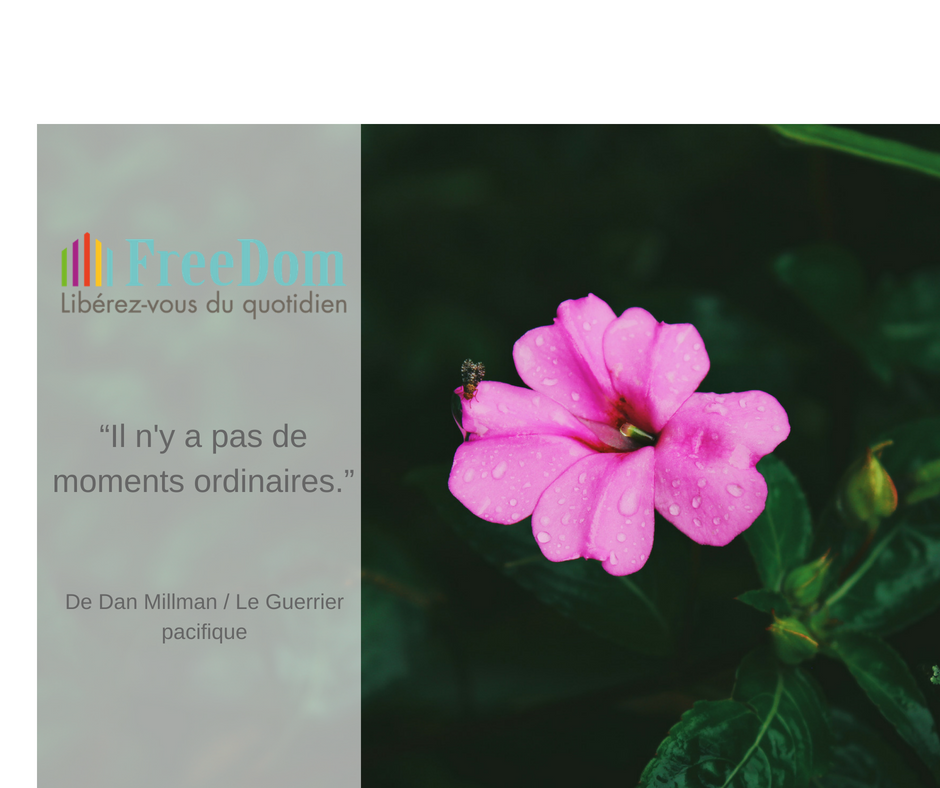 FreeDomAvesnes's tweet photo. Proverbe du jour https://t.co/w8NylbiZPB