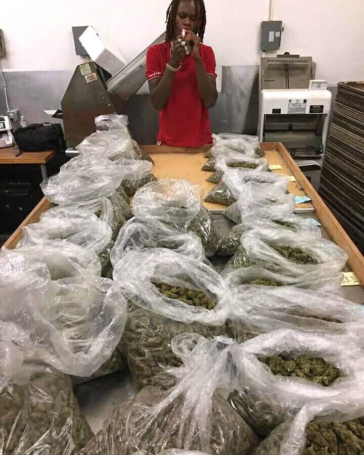 john19093294's tweet image. WHAT YOU GUYS WAITING FOR TO GET SOME GOOD SHIT. HIT ME UP NOW . OR EMAIL ME AT JOHNDESTEFANO3435@GMAIL.COM FOR YOUR ORDER. GET HIGH , GET CURE. ALWAYS AVAILABLE FOR YOU. LOVE YOU ALL .