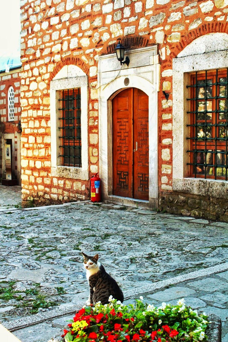 Sevdiklerinizle birlikte mutlu bir hafta dileriz. 🌤