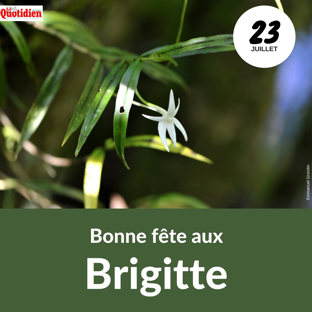Le Quotidien Bonne Fete Brigitte Team974