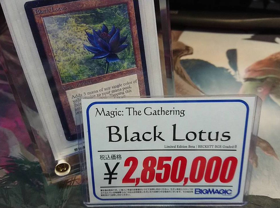 BIGMAGIC 秋葉原店 on X: BIGMAGIC 秋葉原店 on X:
