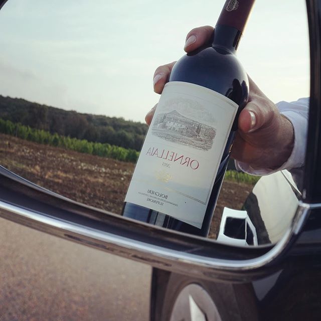 In good company… 😎! At the Ornellaia Estate in Bolgheri, Tuscany.
.
.
.
.
.
#ornellaia #winetime #mywinemoment #instawine #winestagram #ornellaia2015 #ornellaiawinery #tuscanywine #tuscany @ornellaiawinery