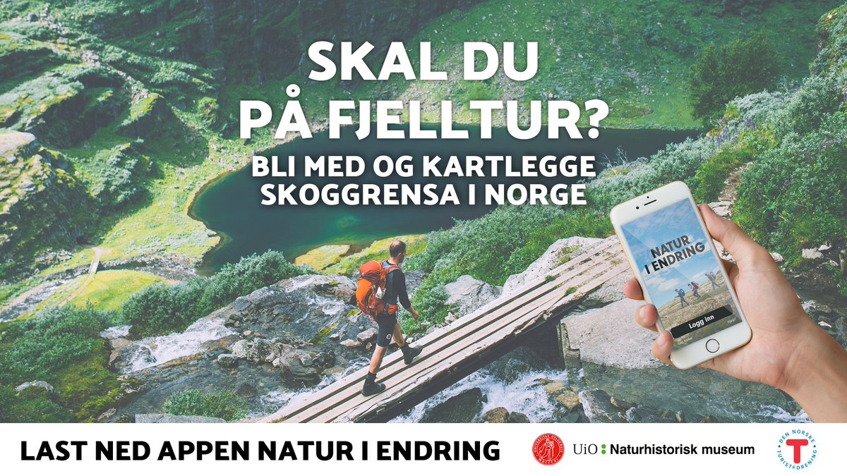 Karenina Kriszat on Twitter: "#Naturiendring #Fjelltur #skoggrensa ...