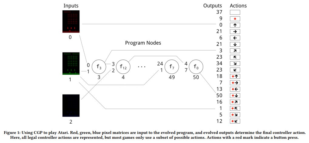 free computer algebra in scientific