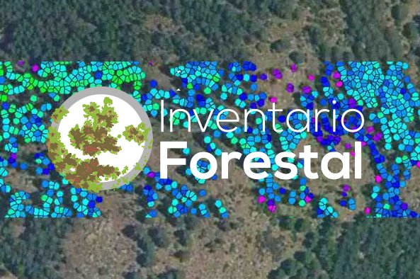 IDAFChile's tweet photo. La #tecnología que revoluciona el #sectorforestal de #Chile se llama #LiDat. Sensores remotos y #BigData en una potente herramienta #silvícola para censos e inventarios forestales. https://t.co/JgOVmWOPNJ
