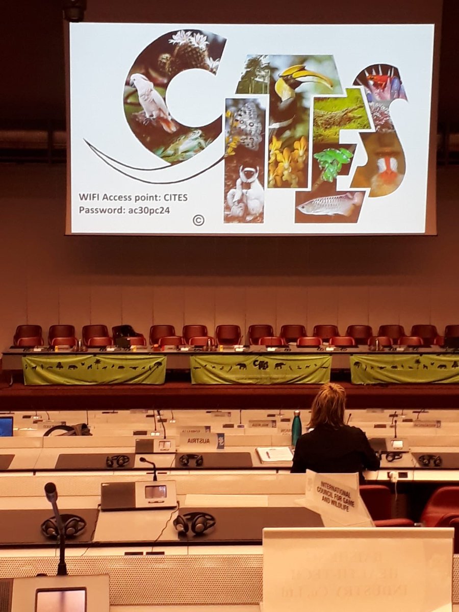 GTTNetwork's tweet photo. We’re participating in the 30th #CITES meeting in #Geneva - looking forward to exploring new collaborations in the field of #timbertracking #wood identification to combat #illegallogging ^gs https://t.co/X5aueh5vTq