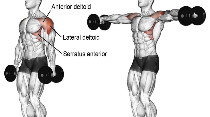 What are the Benefits Of Doing Front Raises? What are the Benefits Of Doing Front Raises?