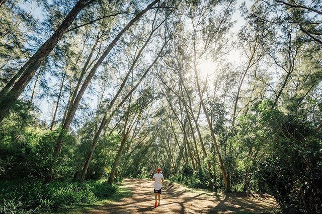 dane_forman's tweet photo. Dreaming of those coastal forest runs. 
What an epic weekend away. Taking in the sights and sounds of our awesome province. So much more exploring to be done. 
Thanks @proteahotels for getting us involved and getting us our there. Your #WanderMore campai… https://t.co/VlxbYFYPmh https://t.co/6o6vue3iuZ