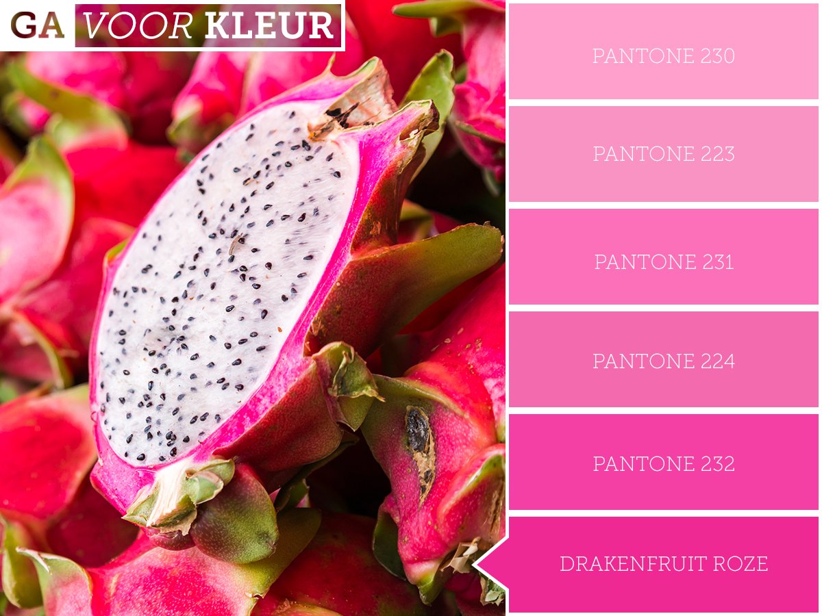 Op Roze Maandag mag deze speciale #vrucht niet ontbreken: #drakenfruit, een vrucht die bekendstaat om zijn fel roze buitenkant. Heb jij deze exotische #vitaminebom al eens gegeten? #rozemaandag #kermis #tilburg #gavoorkleur
