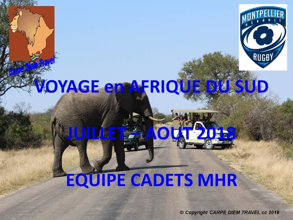 thesisgroupe's tweet photo. THESIS Groupe fier de soutenir la tournée des brillants cadets du Montpellier Hérault Rugby Club en Afrique du Sud !

@MHR_officiel  @thesisgroupe 

#thesisgroupe #U16mhr #mhr #montpellier #paris #rugby #sponsoring #afriquedusud #kappa https://t.co/ArSMrDo05S