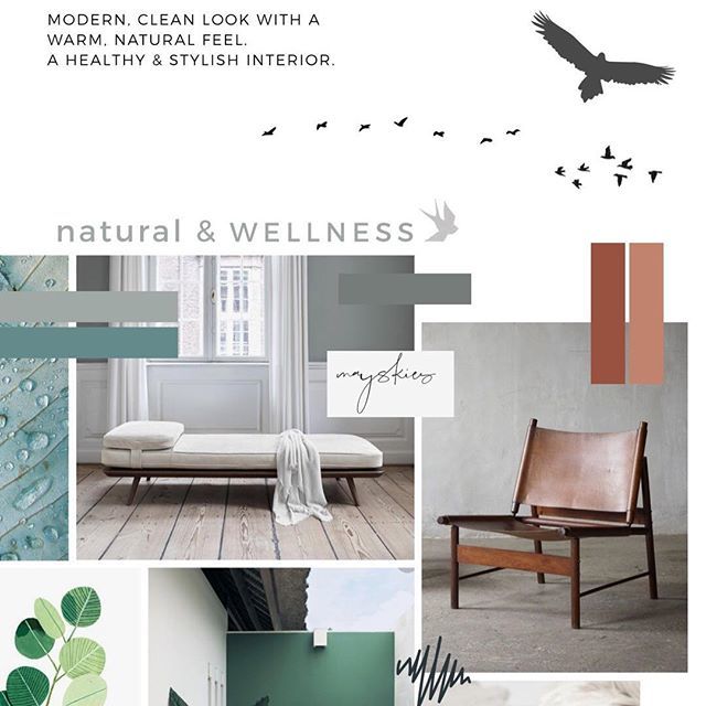 smwebdesigns's tweet photo. MONDAY MOODBOARD.
From a new project coming soon. Have a lovely day!
.
.
.
.
.
.
#moodboardmonday #smwebdesigns #creativebiz #solopreneur #femaleentrepreneur #womenentrepreneurs #creativelife #communityovercompetition #onegirlband #smallbusinesslove #sma… https://t.co/E14KfKKY9d https://t.co/PGvfmrsiu4