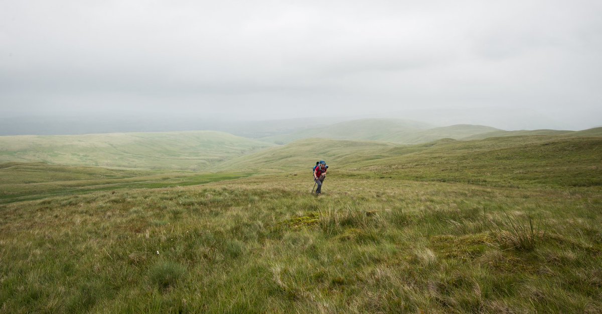 butnorain's tweet image. slow walking
focus shifts from the grass beneath each foot
to droplets of mizzle in the air
to the edgeless great wide open
and a question presses:
how big is here?

A new blog with thoughts from our 7-day #treefold #walk
bit.ly/2mBcIXB

#LakeDistrict #getoutside
