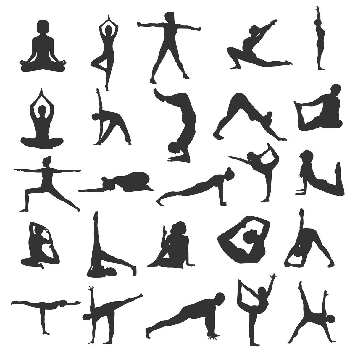trainer_pa_uk's tweet photo. Yoga! A great class to recommend to your clients for extra curriculum. Keeping your body healthy and injury free is a must and Yoga works towards this. 

 #trainerpa #app #download #personaltrainer #personaltraining #pt #gym #workout #fitness #workoutapp #exercise https://t.co/vrheFubTQf