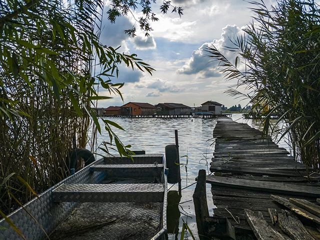 sszemtelen's tweet photo. Bokod.
#mik #ikozosseg #hungary #instacool #instagood #instanature #instaminimal #nature #naturephotography #natureporn #vzcomood #naturelovers #oneplus #OnePlusLife #Oneplus5t #ShotonOnePlus #colors #mobilephotography #f4f #picoftheday #water #bokod #bo… https://t.co/upWQ2rDU8Q https://t.co/2UCkW7oSQn