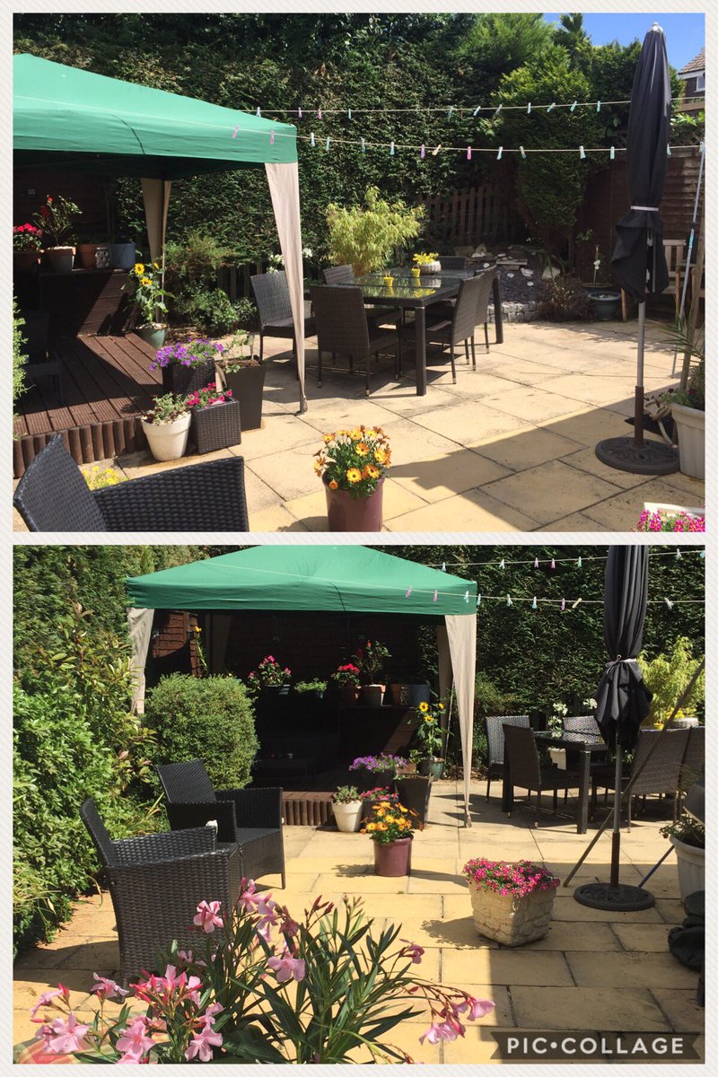 alw656's tweet photo. Lovely weekend in the garden https://t.co/musCoizINI