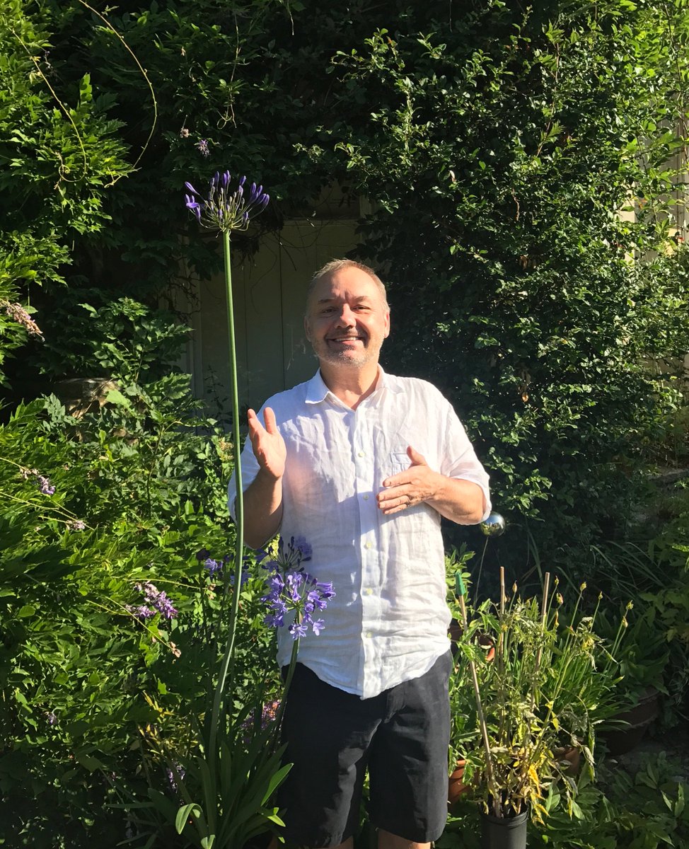 Tall man... taller agapanthus