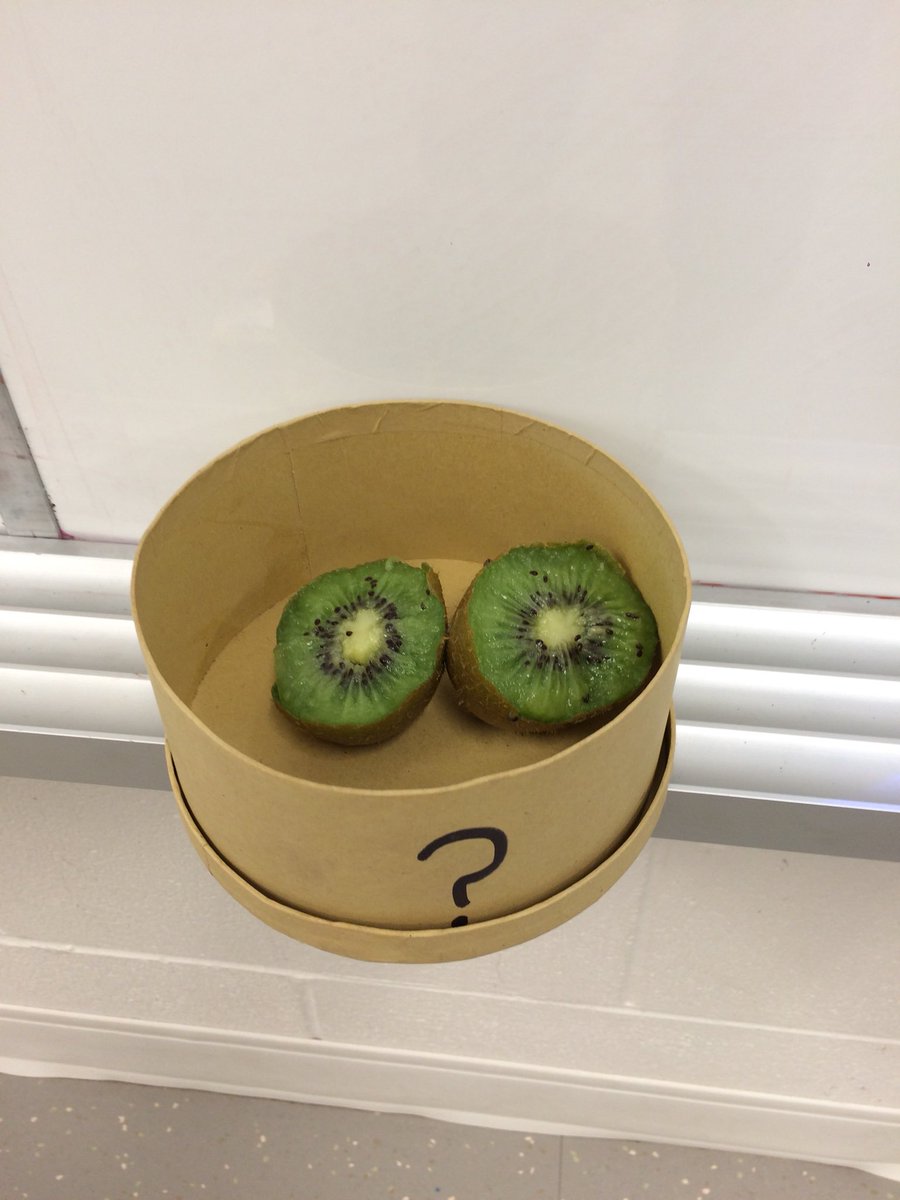 JBSummerHeat's tweet photo. Mystery object visualization lesson in the kinder class! @DSBNSummerHEAT https://t.co/FpBGDC6ZSQ
