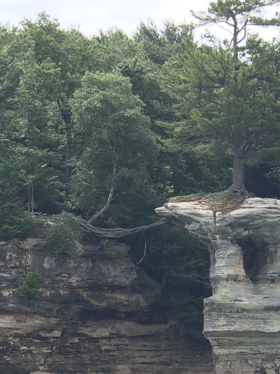 Jessica Klosinski tweet media