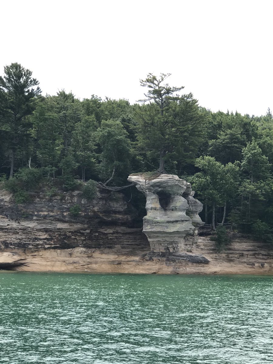 Jessica Klosinski tweet media