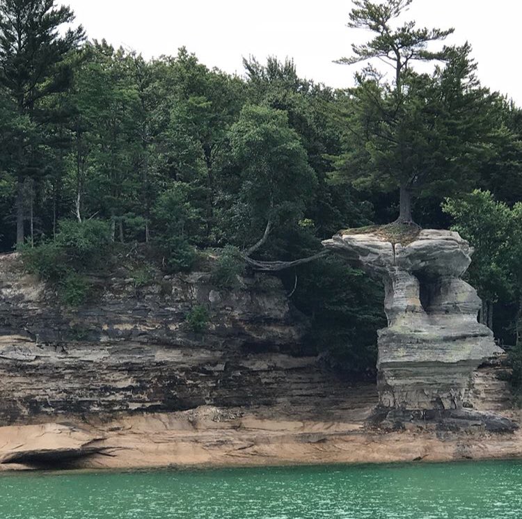 Jessica Klosinski tweet media