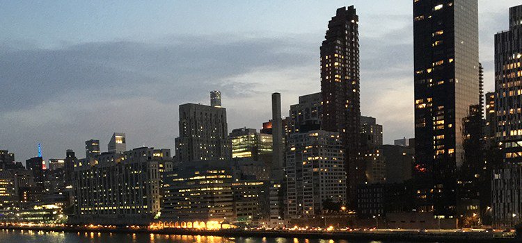 High Regard Show tweet media