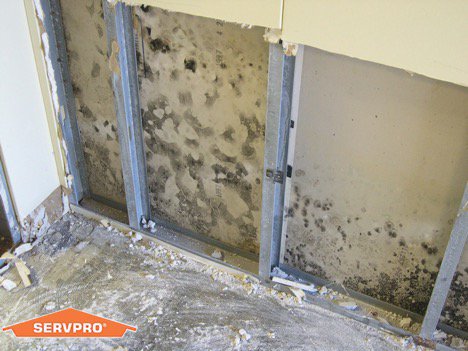 What’s in your wall? Mold has a sneaky way of getting into places you wouldn’t imagine. If you suspect mold, call SERVPRO to investigate.