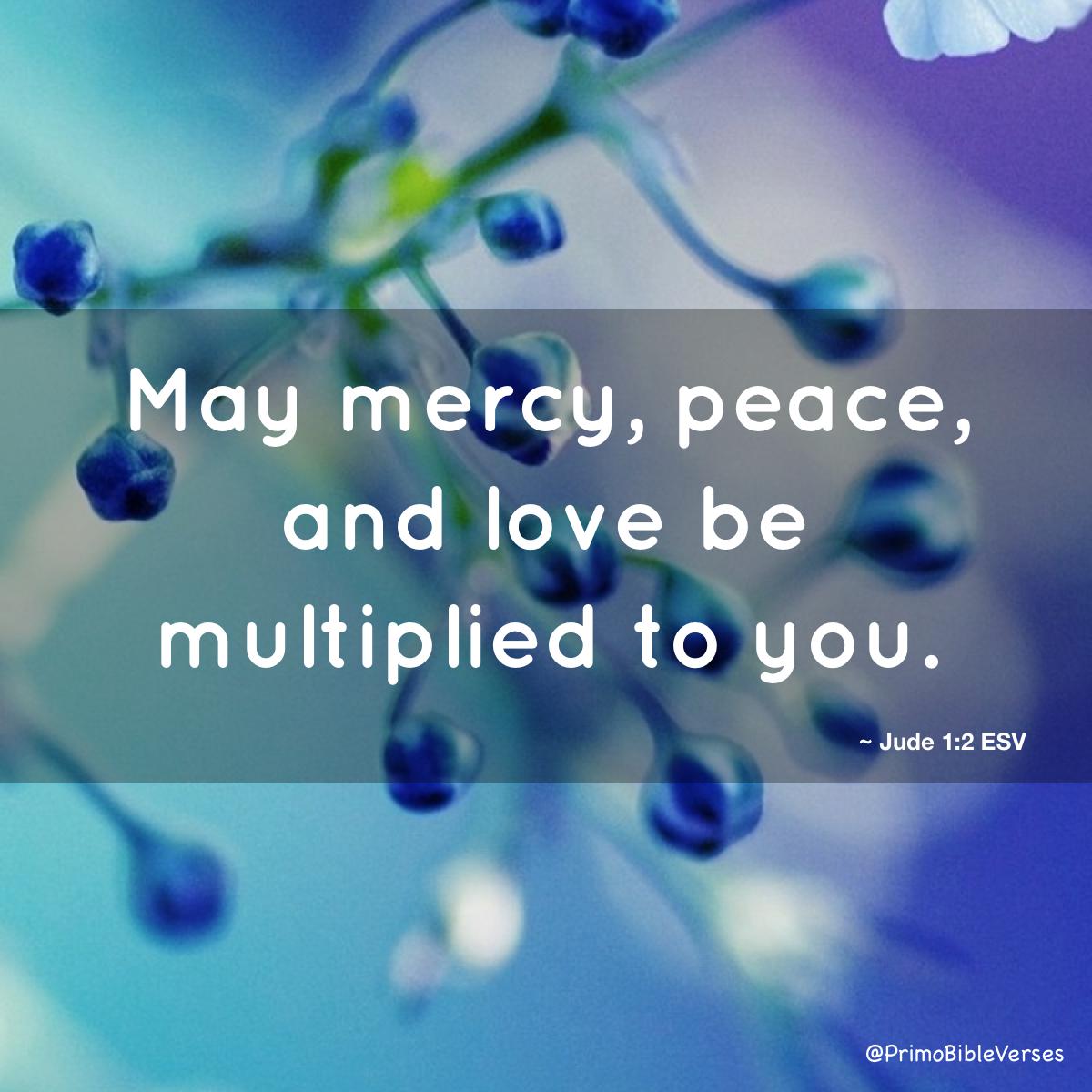Heather7Peace's tweet image. 🌿🌼🌅Shavua tov chaverim #BeautifulWeekAhead😊🌾🦋