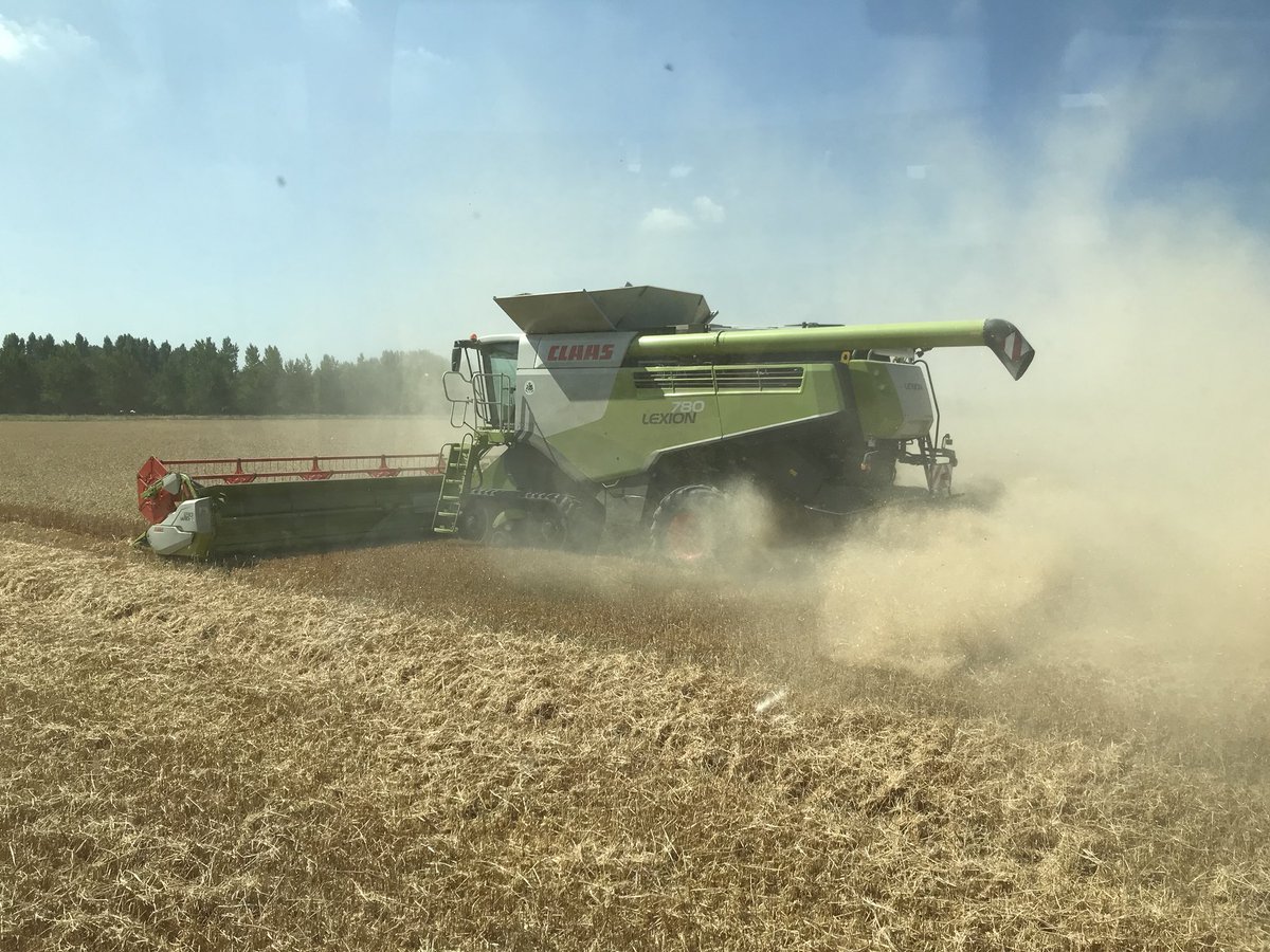 Martgmg's tweet image. En door in de wintertarwe #Chevignon @LGseedsNL #kmwp @VCoolbergen