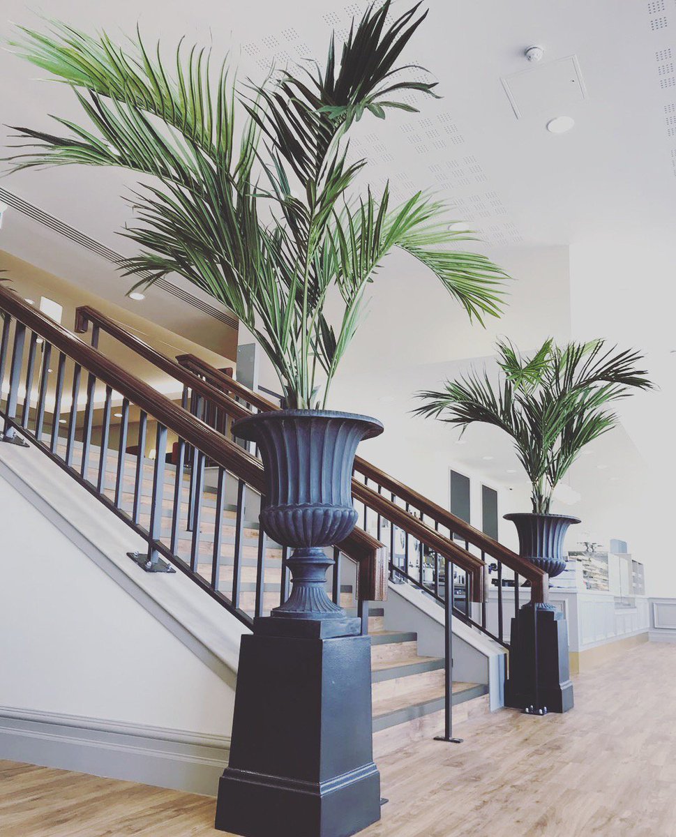 ReplicaPlants's tweet photo. Our artificial palms look fantastic in this incredible venue #artificialpalms #spanishcity #interiorstyling #interiors https://t.co/9rho8Hiifp