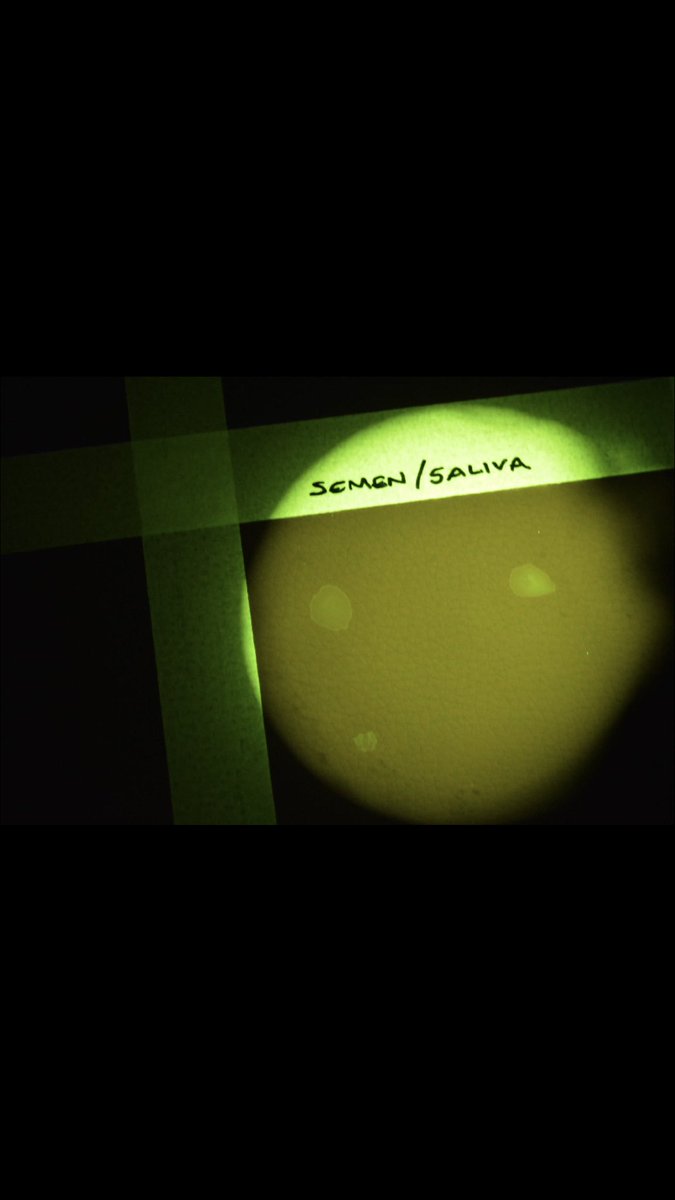 CTForensics's tweet photo. Annual IAI International Forensic Educational Conference 2018
July 29 - August 4 at the Henry B. González Convention Center, San Antonio, Texas
#CopperTreeForensics #Stand448 #NewGeneration #LightSources #CrimeScene #Laboratory #Lasers #LEDs
s.murphy@coppertreeforensics.co.uk https://t.co/cAY19Vw8Nq