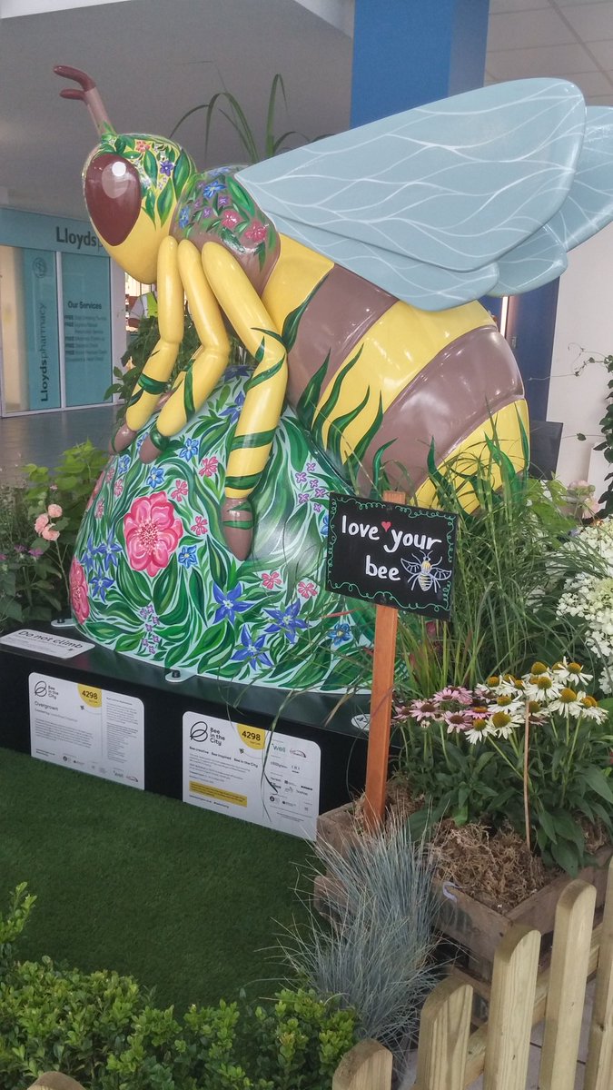 She's here... #OvergrownBee #Wythenshawe @beeinthecitymcr #BeeInTheCity