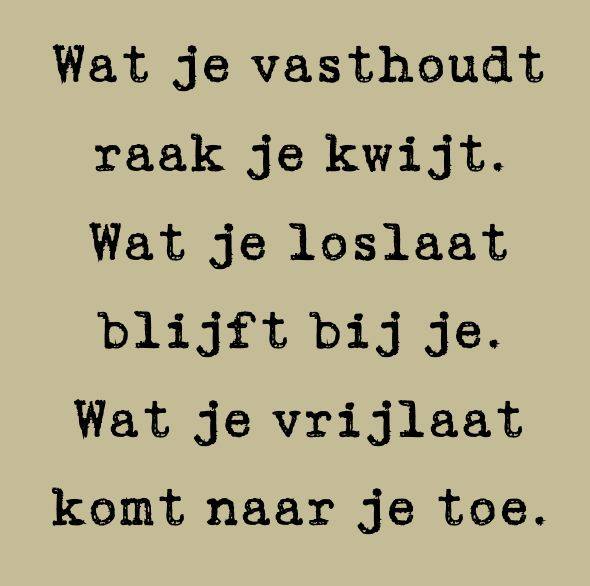 Fijne dag vandaag!
villapinedo.nl