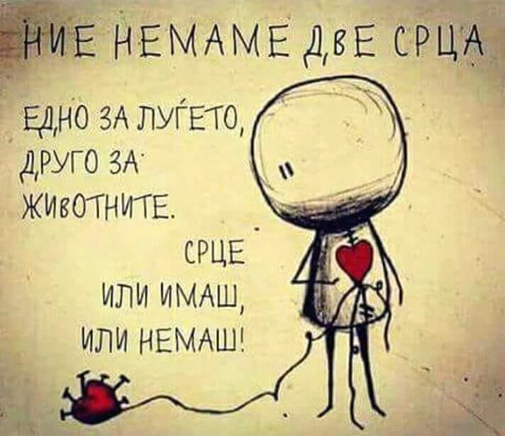 Убавицата на Ѕверот (@viki_kvikii) on Twitter photo 