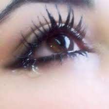 #صورة_ملف_شخصي_جديدة