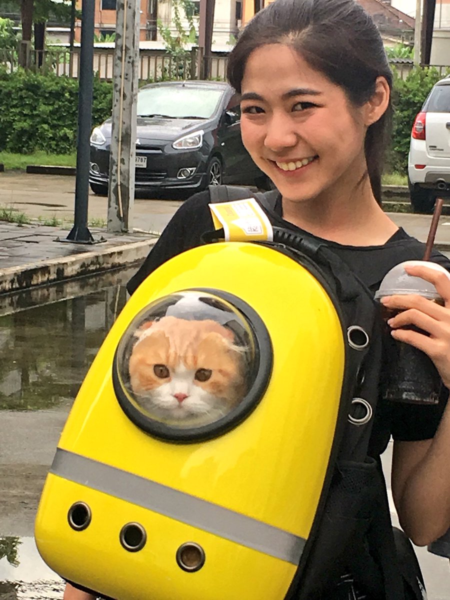ferinboy's tweet photo. แมวอวกาศ #JohanCatster #Leenam https://t.co/fitTwM0Lox