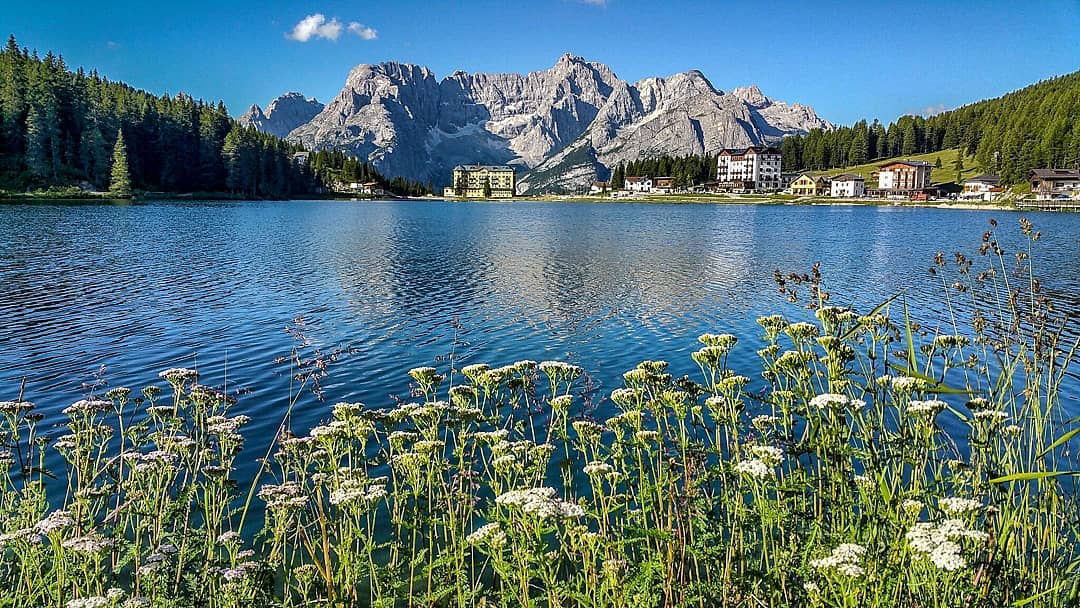 Alexander Gärtner (freestyle1975) Twitter