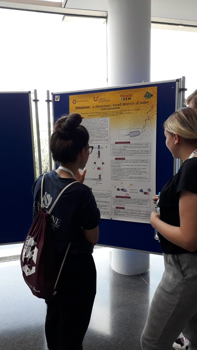 iGEM_Utrecht's tweet photo. We had such a great time in Munich! Lots of poster presentations, lectures and socializing. As well we gave a workshop teambuilding! Thank you @iGEM_Munich for organizing this event. #Munich #EuropeanMeetUp https://t.co/EnEj0t3mJX