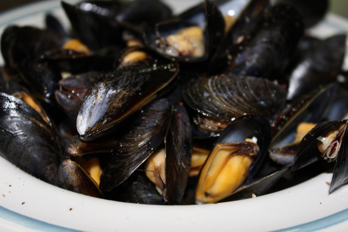 Nosotros damos la bienvenida al #lunes con este plato de Moules al aroma de la manzanilla Velo Flor. ¡Rico, rico! ;-)

#DeReCoqvinaria #bardevinos #moules #productodetemporada #cocinadeproducto #disfrutaTomares #Tomares #FelizLunes