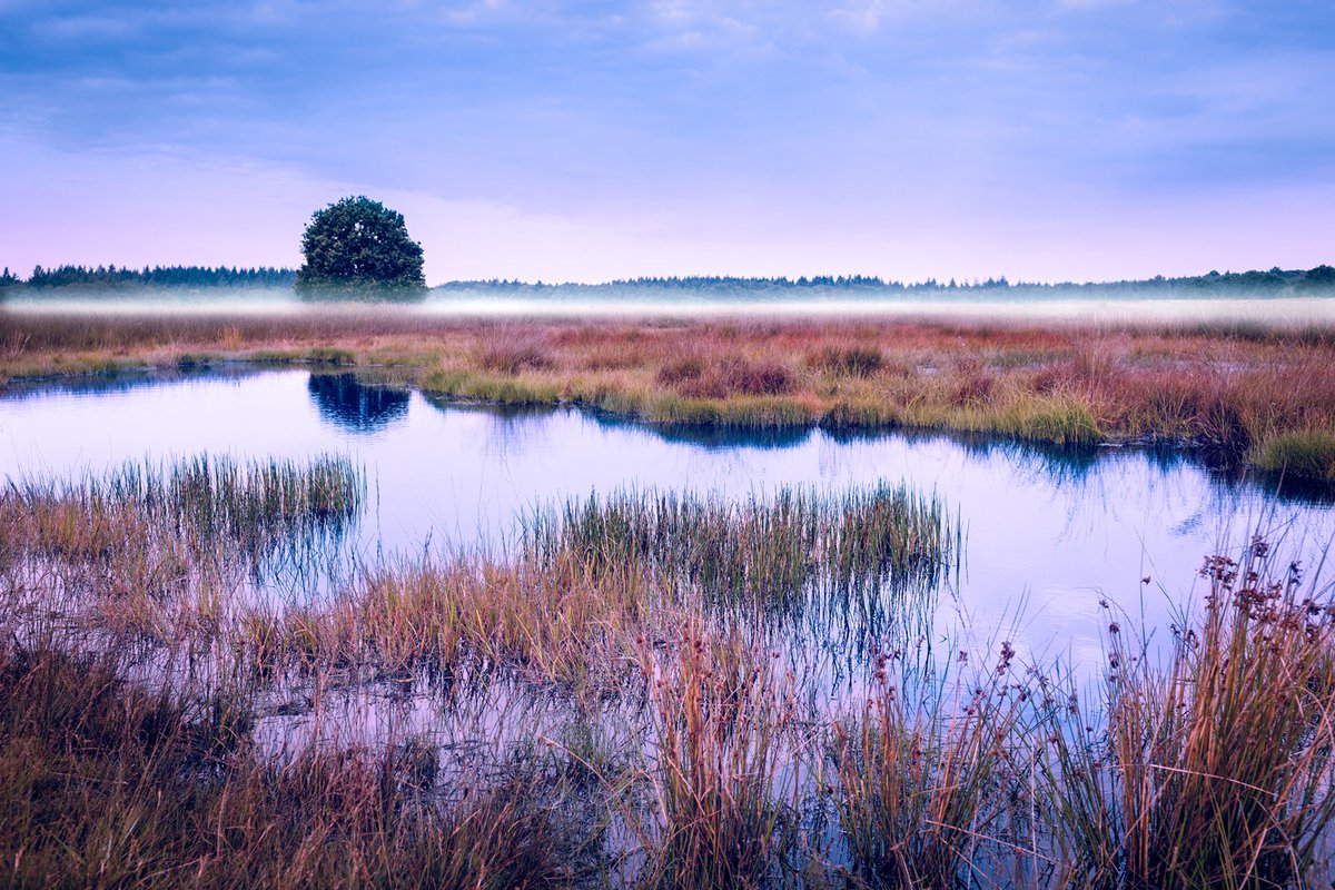 Een mooie omgeving staat met stip op 1 wanneer men op zoek is naar een vakantiebestemming. Met Familieresort PUUR Exloo zit dat meer dan goed! Lees meer: ow.ly/r2ek30l4uxy
