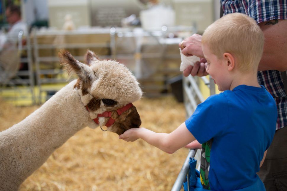 Get a family ticket for the Pet Show for just £10 with your Max Card and enjoy the UK's largest multi-pet event on 18th &amp;19th August!
buff.ly/2uHIu9U