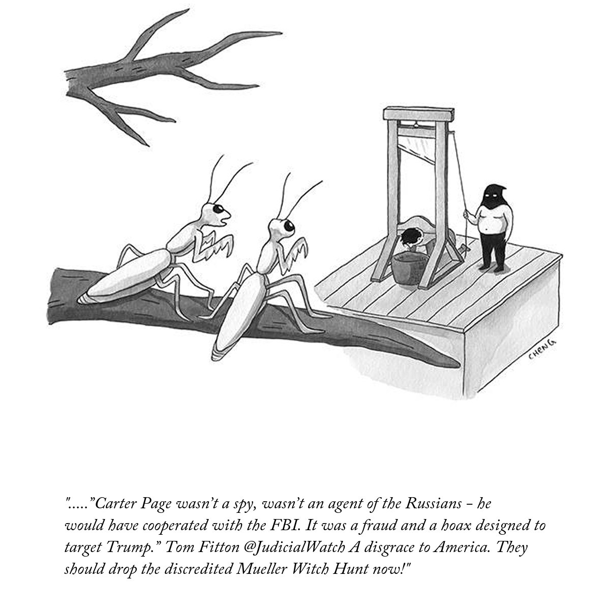 TrumpNewYorker's tweet photo. .....”Carter Page wasn’t a spy, wasn’t an agent of the Russians - he would have cooperated with the FBI. It was a fraud and a hoax designed to target Trump.” Tom Fitton @JudicialWatch A disgrace to America. They should drop the discredited Mueller Witch Hunt now! https://t.co/BPMOw83k1W