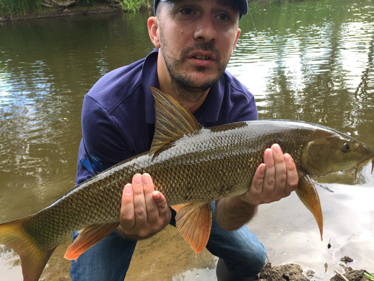 Revolutions2002's tweet photo. The Revs stand in keeper @msteaneLUFC has already made a few good catches this weekend in preparation for tonight's game... π¦π£ #Gonefishing #itsashark https://t.co/DBxZj9N1ps