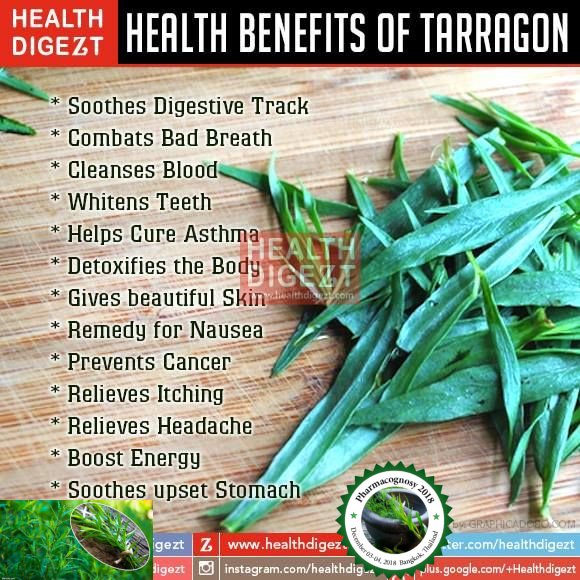 Cognosy2018's tweet photo. lets discuss about Benefits of #Tarragon#digestive track#combats bad breadth#cleanses blood#helps cure asthma#prevents cancer#More....
#Pharmacognosy2018#
Bangkok,Thailand https://t.co/gNa5whGIE8