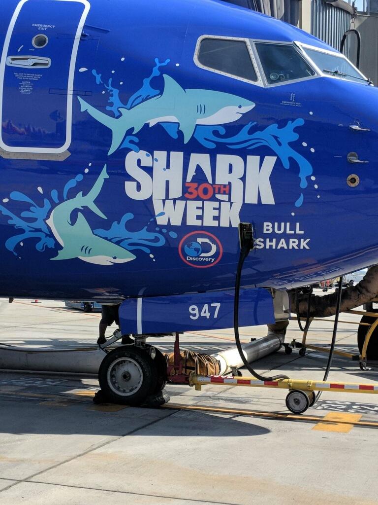 Spotted: sharks on a plane! 🦈 We’re celebrating #SharkWeek with these @SouthwestAir Boeing 737s. #SharksTakeFlight 
Track the aircraft here: swa.is/sharktracker