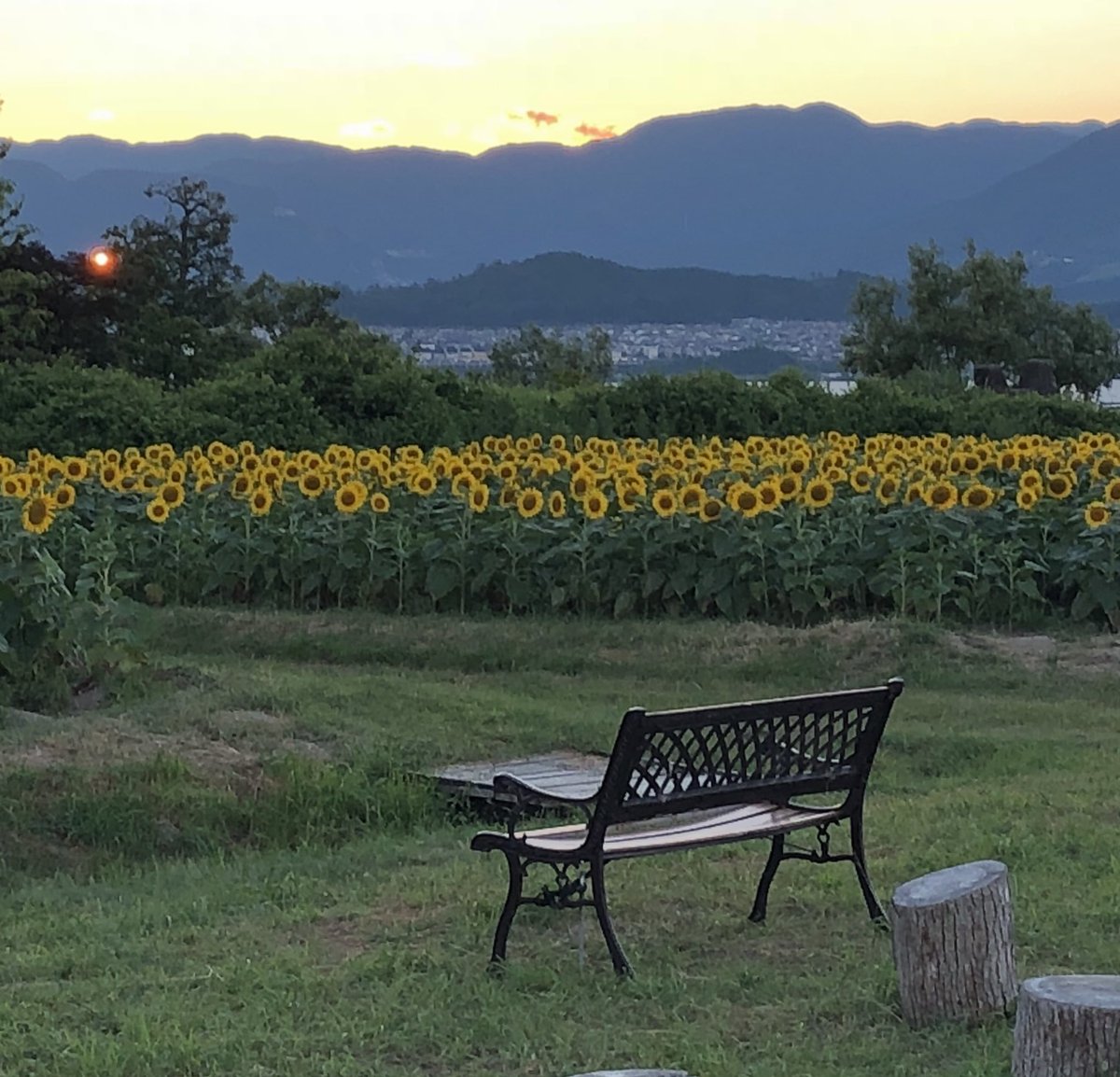 第一なぎさ公園 Twitter Search