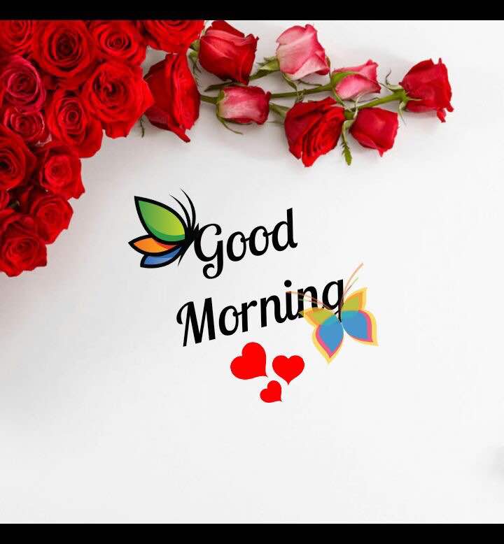 DrAngela11's tweet photo. #GoodMorning My Dear Friends 
Have a great week ahead! ❤ https://t.co/mHKpikM4zd