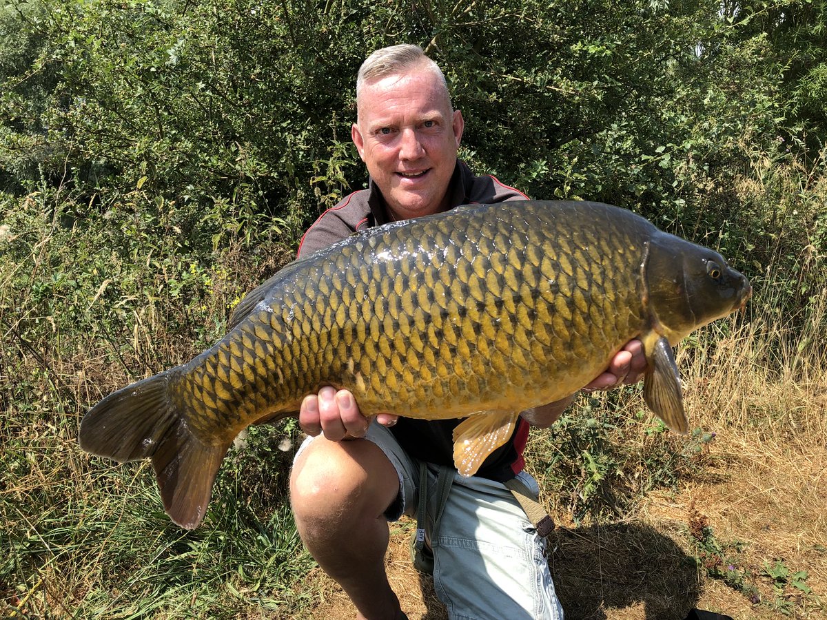 MundellAnthony's tweet photo. Some of the fish I caught this weekend using @Naturesbaits alpha and new boilie range #qualitybait https://t.co/bUU9rDHhJP
