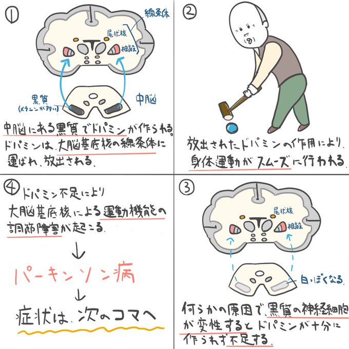 ゴロ 解剖生理イラストさん の最近のツイート 13 Whotwi グラフィカルtwitter分析